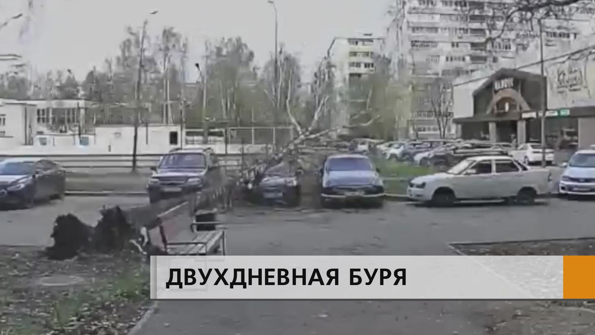 По воздуху летали куски железа, а могучие деревья не выдерживали ветра и ломались