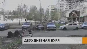 По воздуху летали куски железа, а могучие деревья не выдерживали ветра и ломались