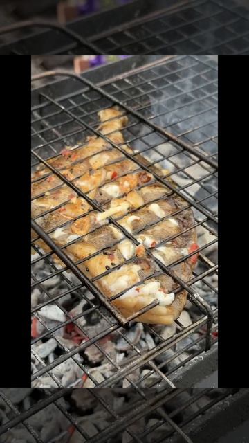 Copy_96E74140-67A8-48D1-A894-451BFB8F5E5E