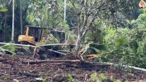 Строительство, расчистка горной дороги