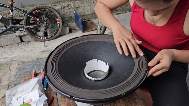 Вьетнамская девушка отремонтировала 18-дюймовый динамик