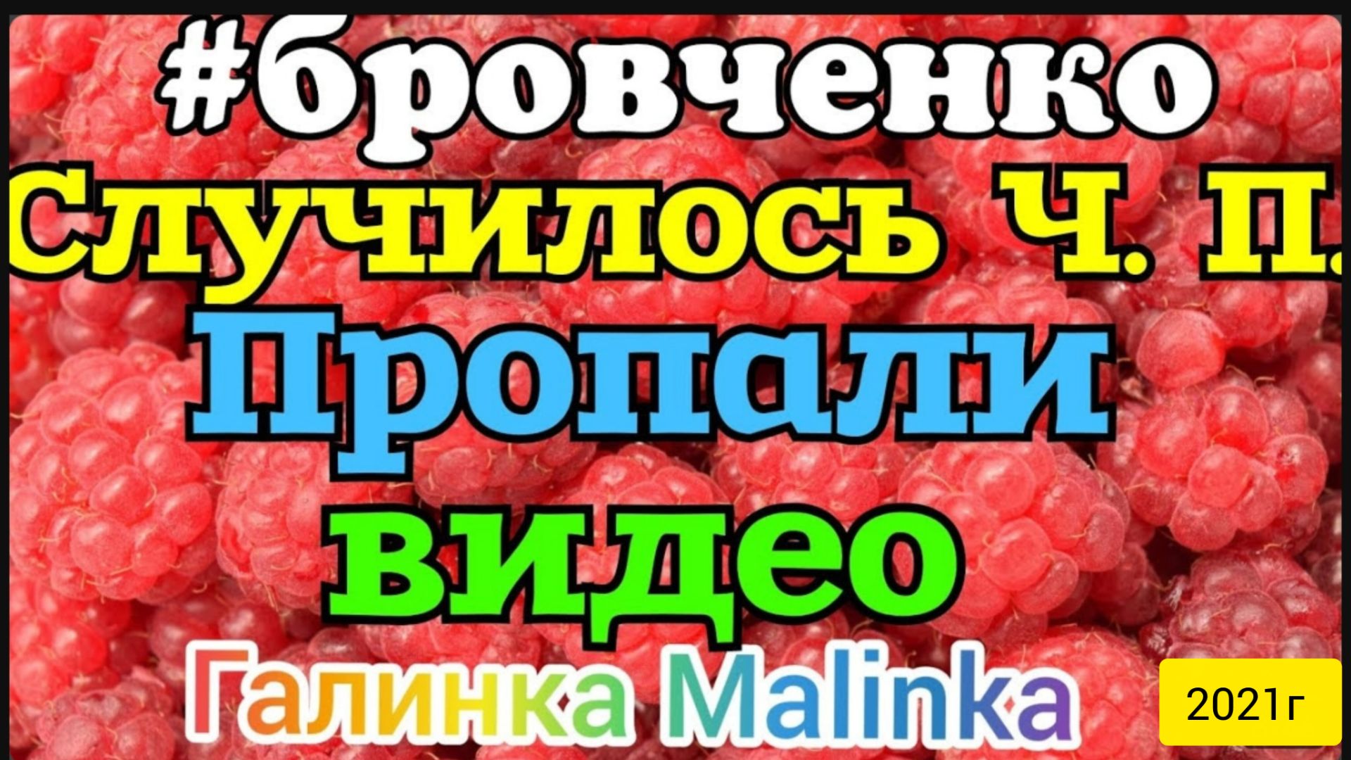 Семья Бровченко _Случилось Ч. П. _Пропали видео _Обзор Влогов _