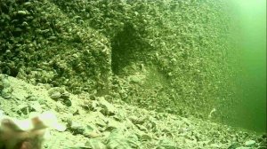 1000016447.mp4Волга гл.5м.28.04.2026г.