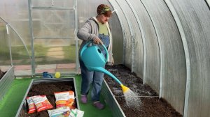 Готовим грядки для огурцов.