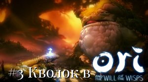 #3 Кволок в Ori and the Will of the Wisps