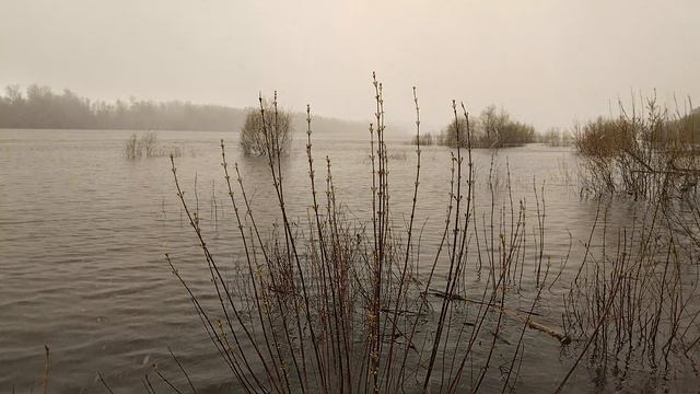 Туман.Хмуро.р.Ока.28.04.2026г.Холодно.