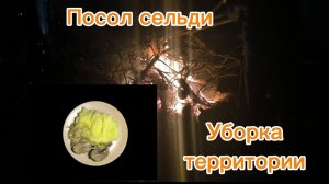 Рецепт солёной селёдки без уксуса. Уборка территории после работы.