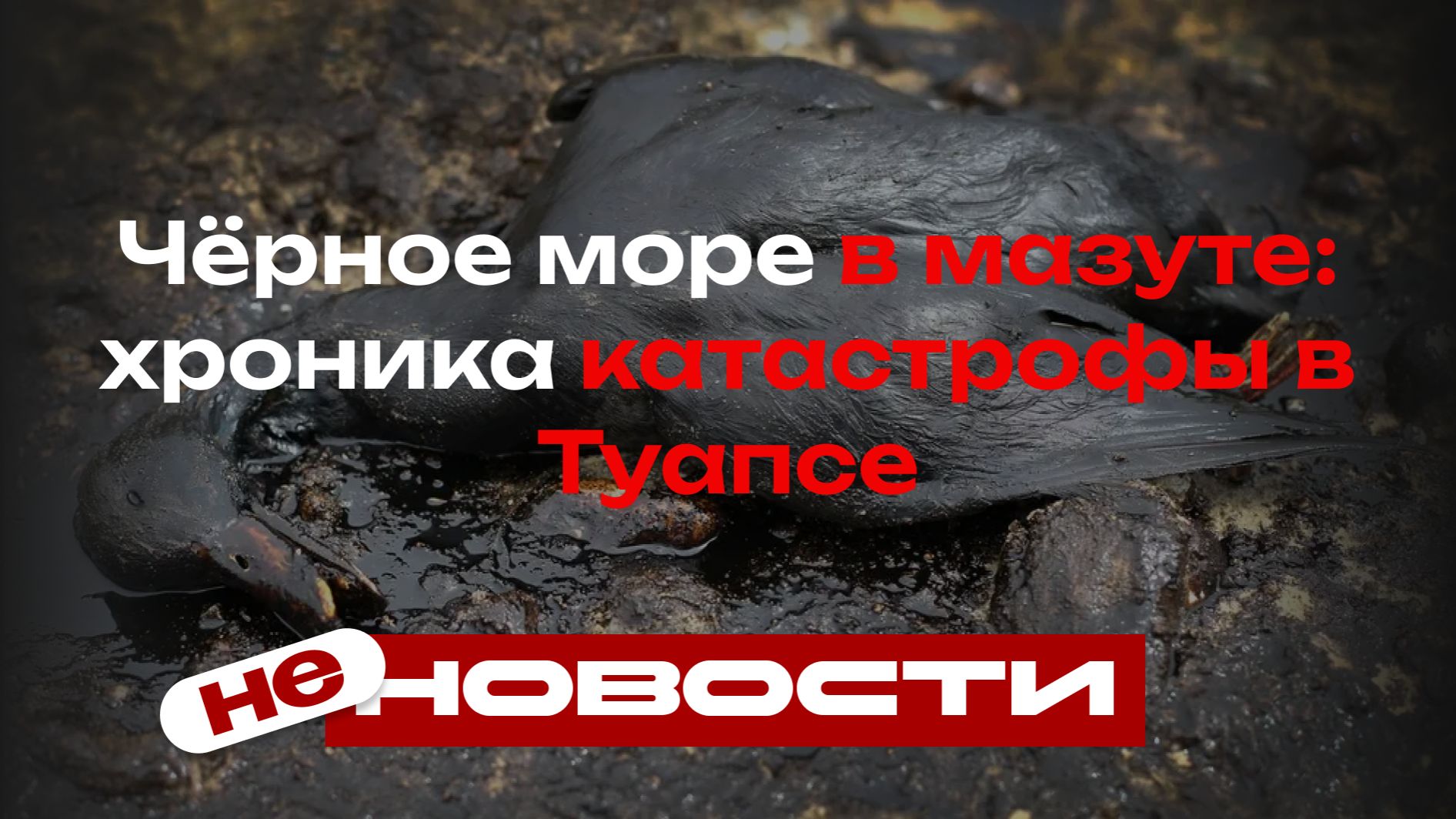 Чёрное море в мазуте: хроника туапсинской катастрофы