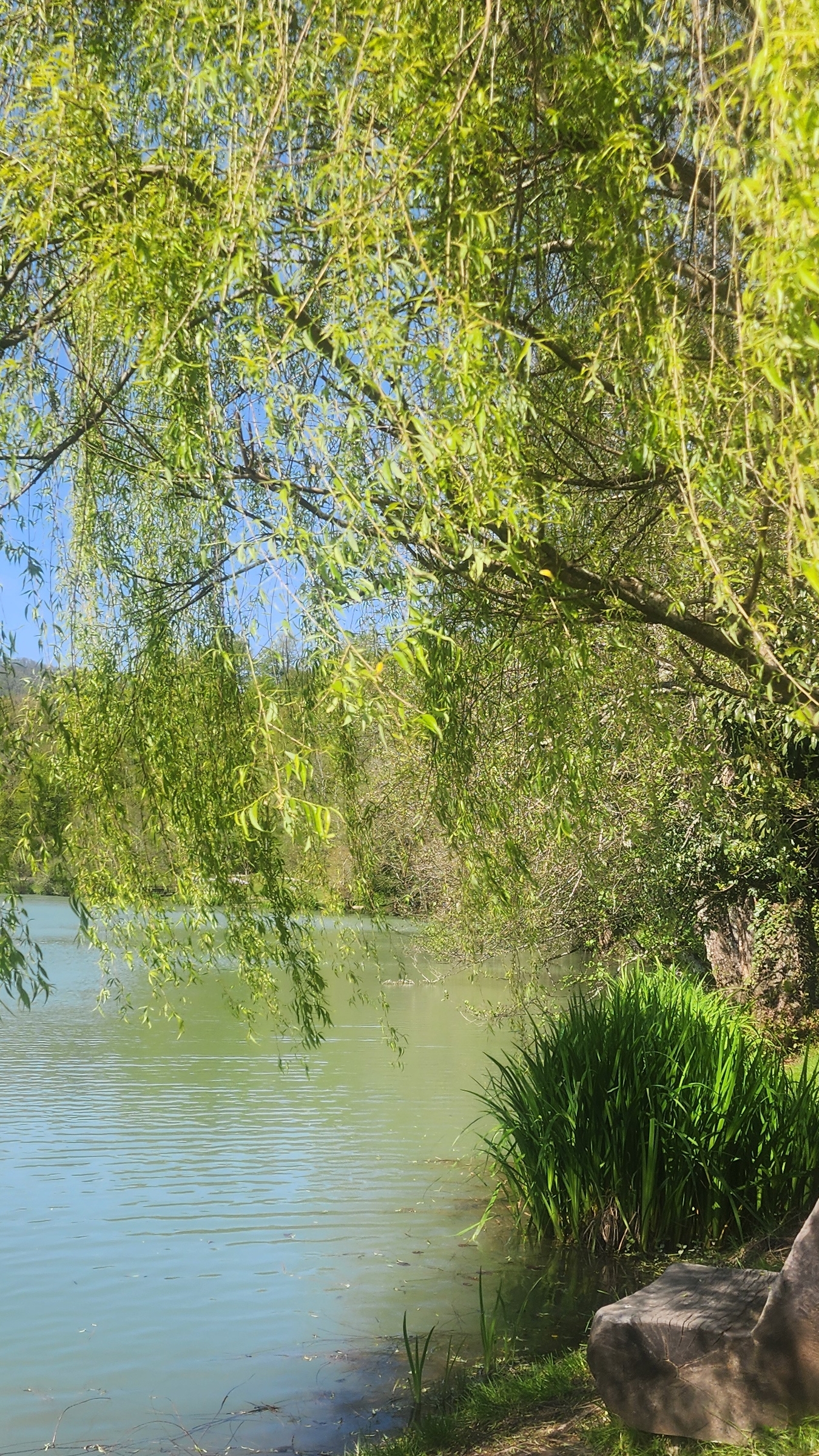 Весёлый Minecraft с аниматором! Дети строят, добывают алмазы и сражаются с криперами (безопасно, кра