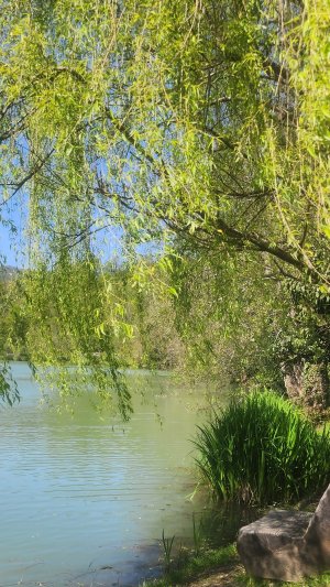 Весёлый Minecraft с аниматором! Дети строят, добывают алмазы и сражаются с криперами (безопасно, кра