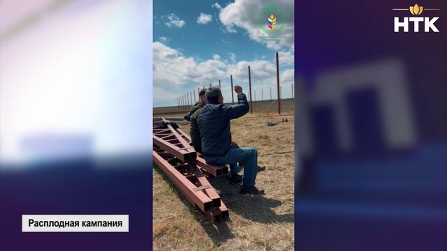 В хозяйствах Калмыкии достигнуто 80% от плановых показателей расплодной кампании