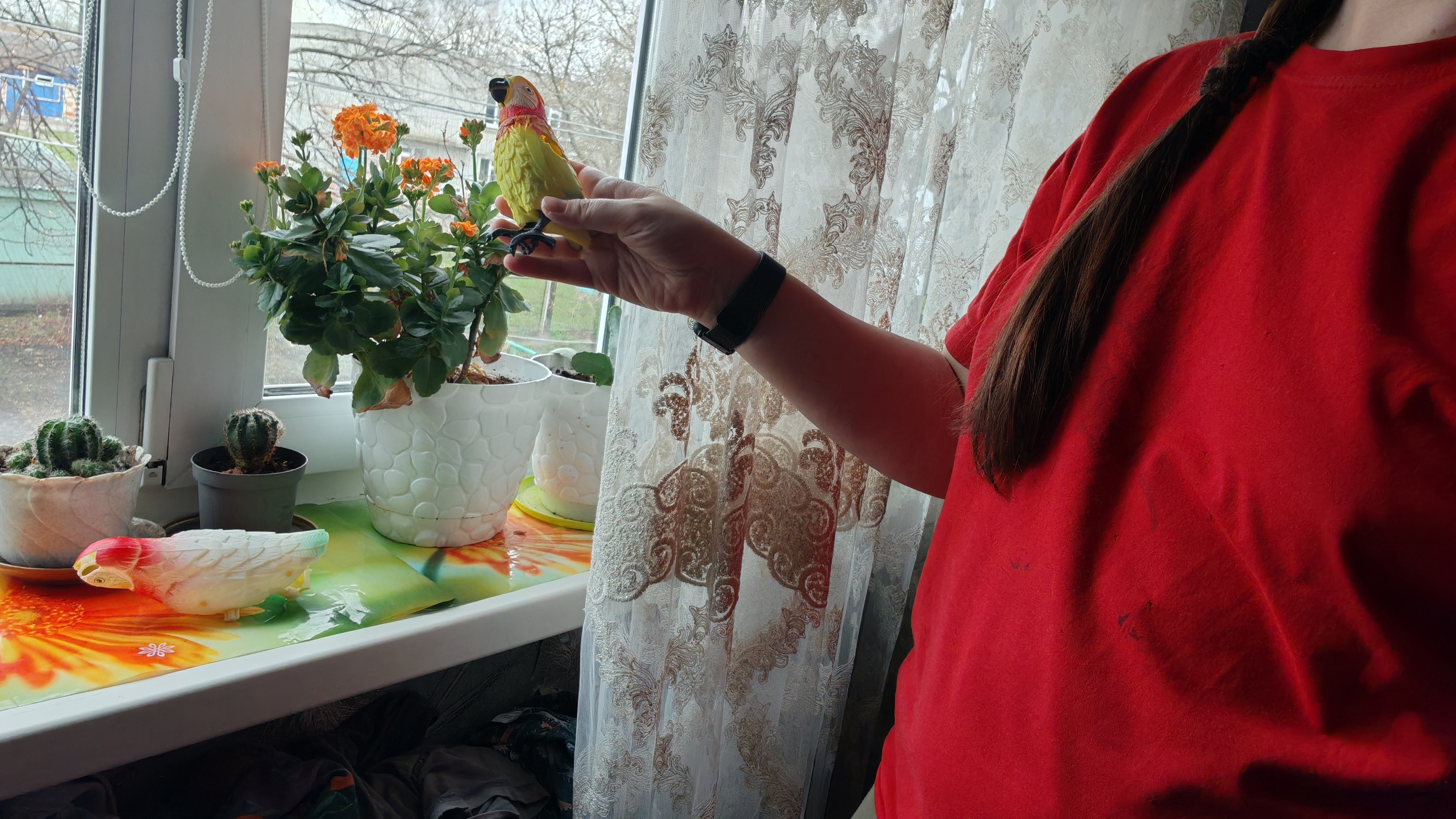 веселые приключения в деревне