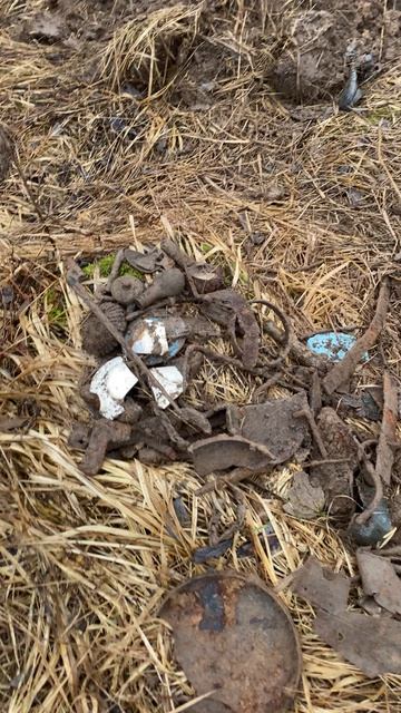 ‼️Находки с металлоискателем‼️Подпишись на группу в ВК : Лесной Скобарь