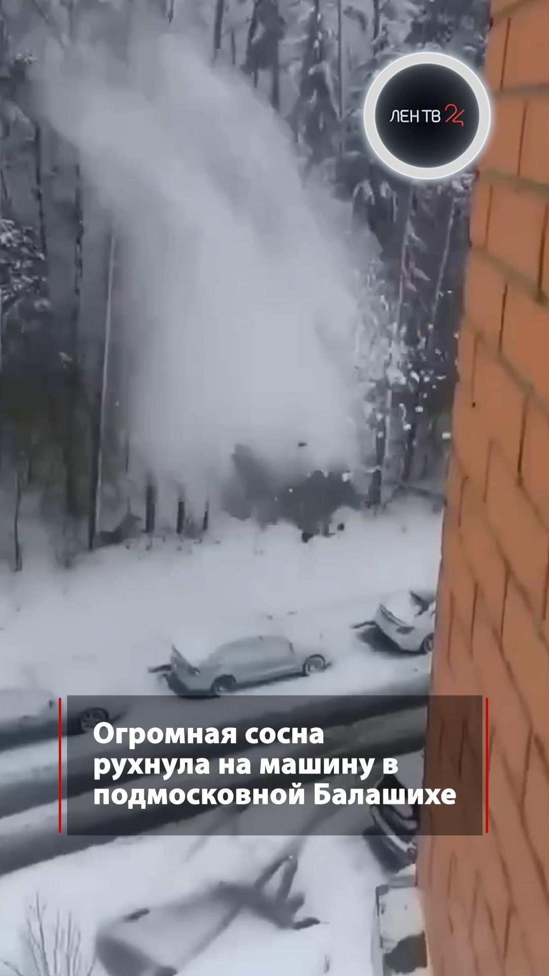 В Москве и Подмосковье продолжает бушевать непогода