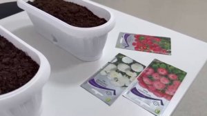 День Эколят