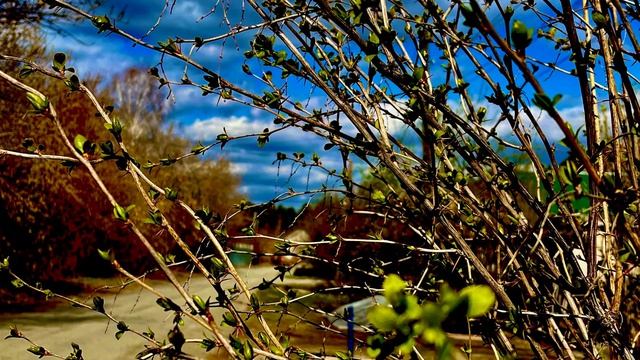 Весенняя прогулка по городу