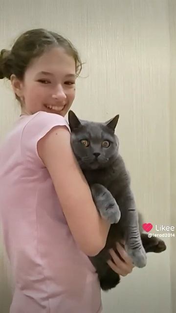мой котик смотреть онлайн