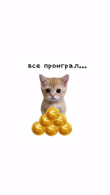 котята пояснят
