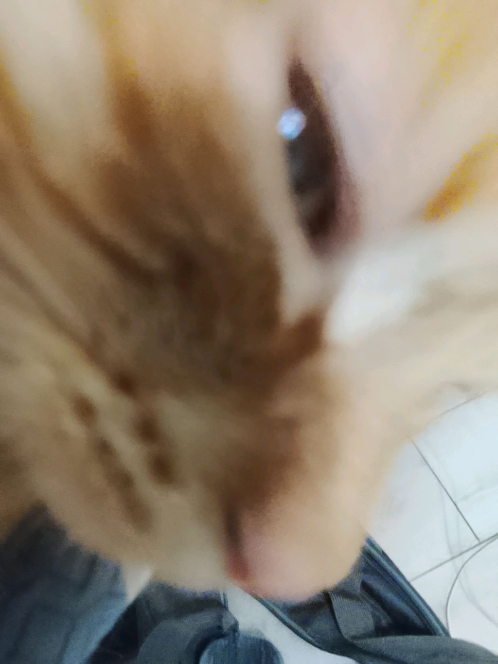 играй в Standoff 2