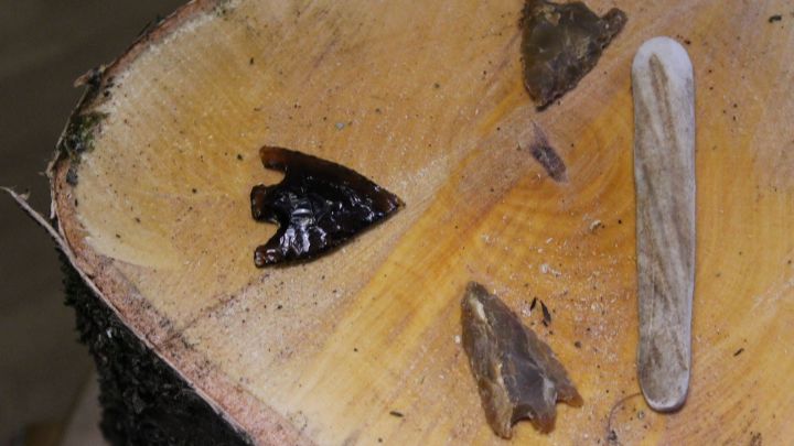 Эфир с Анатолием Файфертом. Ранний и средний бронзовый век России