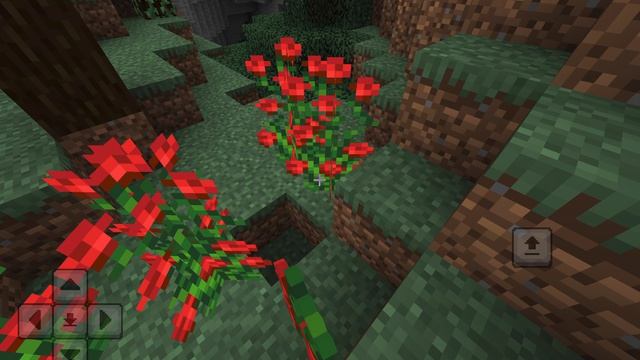 Майнкрафт когда... 30 РОЗЫ КУСТАМИ  ВЗРОСЛОЕ РАСТЕНИЕ