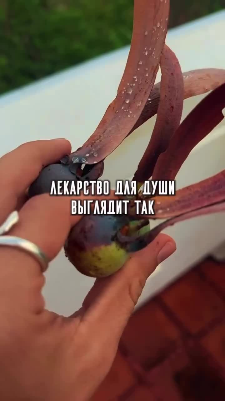 В тебе нужно такое лекарство?