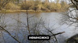 Днепр, первый рыПП🐟