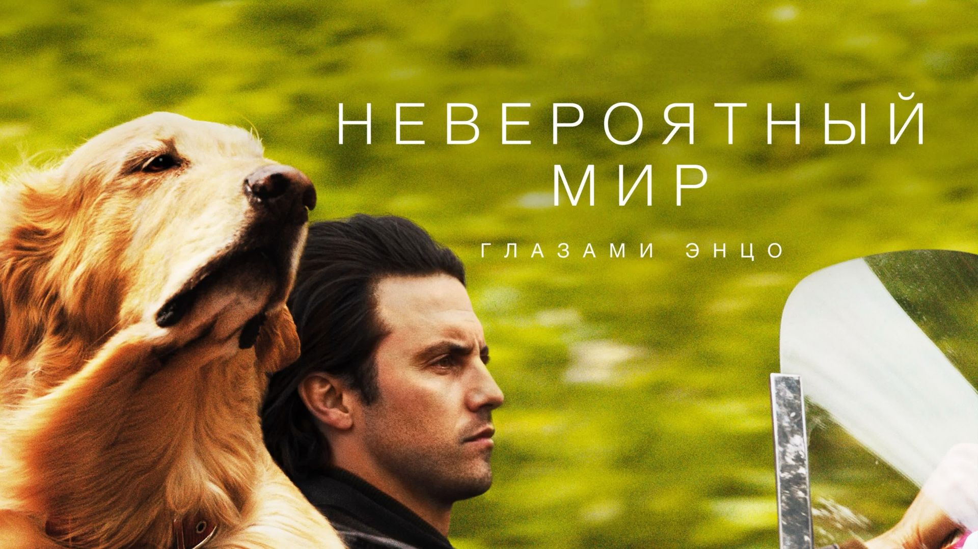 Невероятный мир глазами Энцо (2019) / The Art of Racing in the Rain