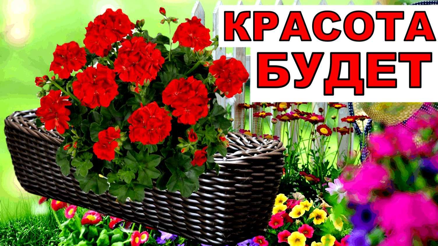 Коней на переправе не меняю. Растила всю зиму пора в ящики