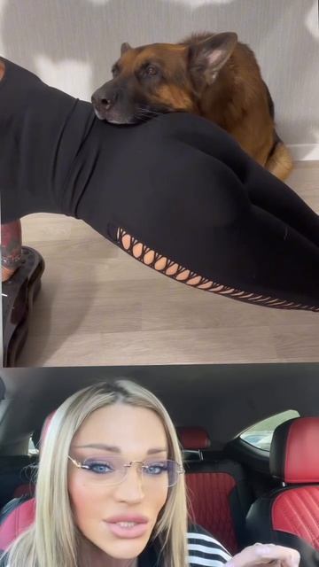 Лучший друг за любой кипиш 