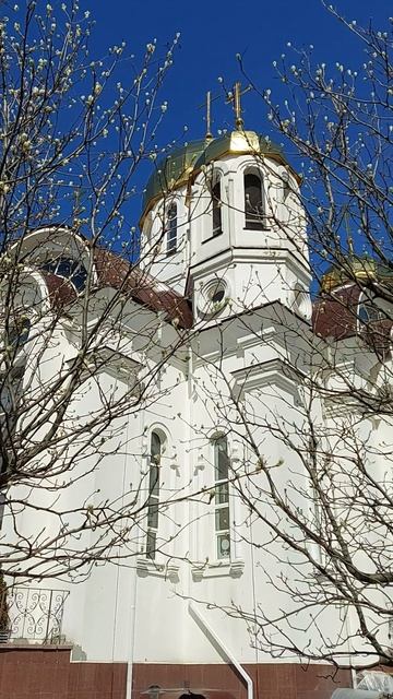 Белгород сейчас. 29.04.26