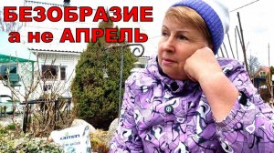 Приехала с отпуск, а везде такое творится! Используй снег во благо