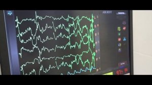 Встречаемся в Курганской области