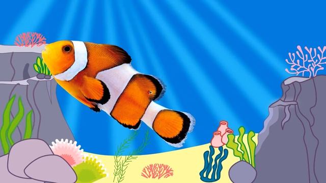 Морские животные для детей Развивающие мультики про животных Кто живет в океане Морские обитатели