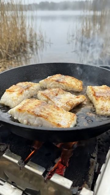 Когда рыба на жаре — спорить уже поздно