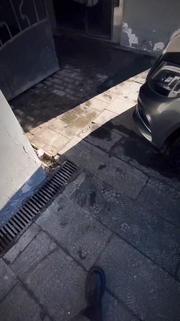 Мы ждем вас в гости 😻