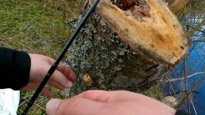 Спиннинг в апреле с берега