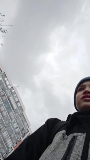 СТРИМ школы