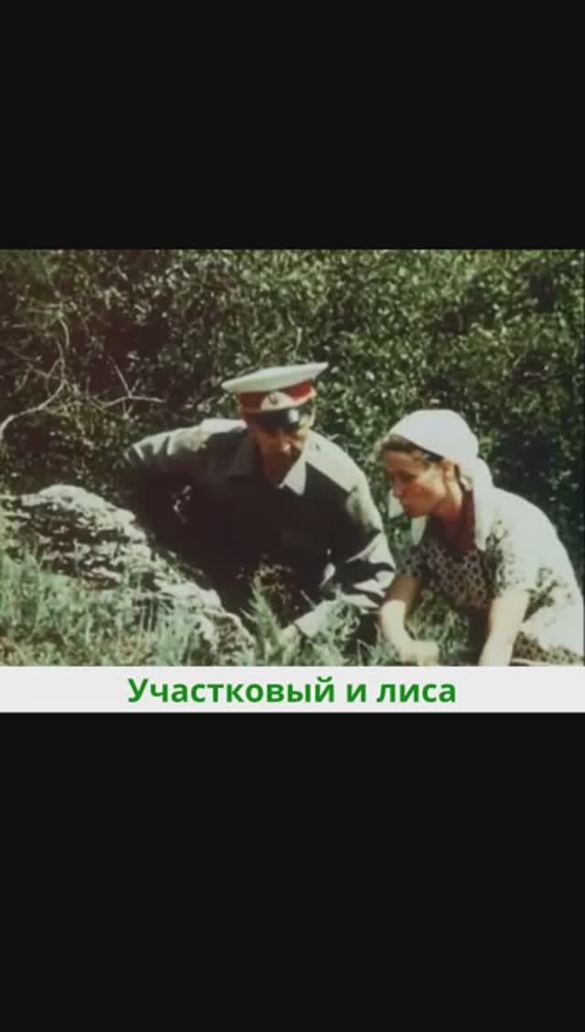 Участковый и лиса