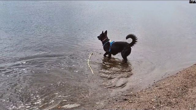 Lv_0_20250425152138[1]