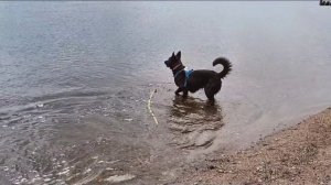 lv_0_20250425152138[1]