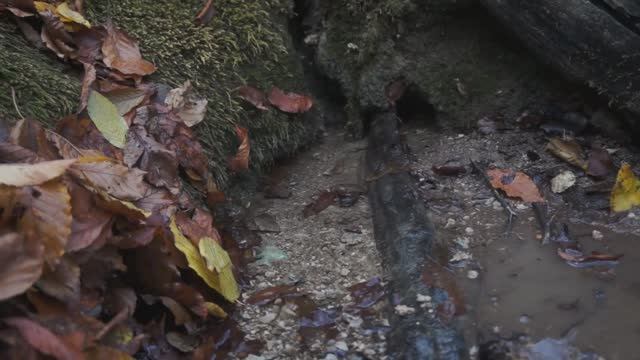 Родник Вересин-чокрак-2