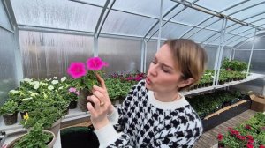 УЖАСНАЯ ПОГОДА=ПРОБЛЕМЫ С РАССАДОЙ.