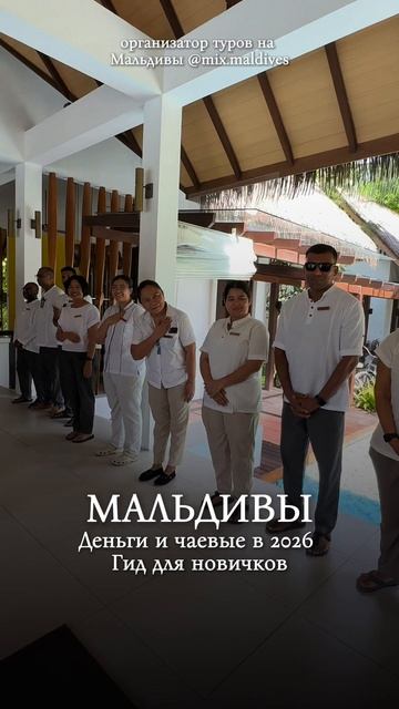 Мальдивы для новичков
