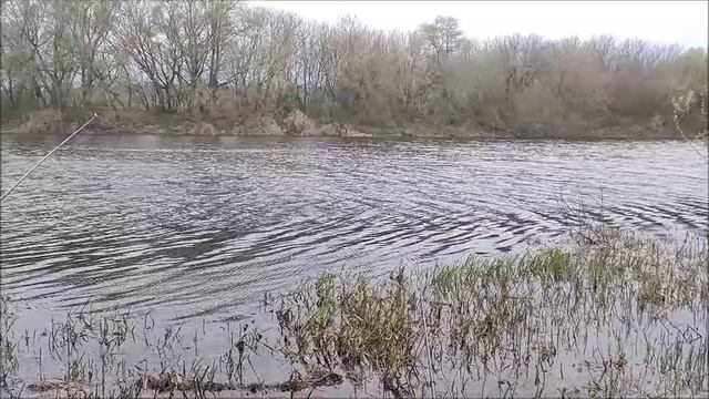 Рыбалка на озере Рылеево мкр. Малышево г.Воронеж 26.04.2026 года.