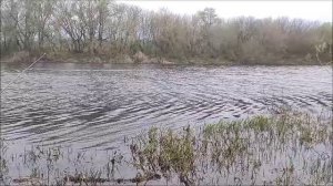 Рыбалка на озере Рылеево, мкр. Малышево, г.Воронеж, 26.04.2026 года.