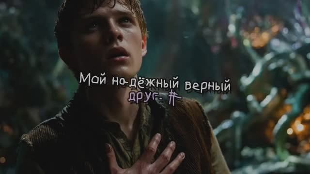 Мой надёжный верный друг. 