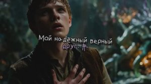 Мой надёжный верный друг. #