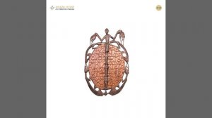 Щит ритуальный (Папуа – Новая Гвинея)