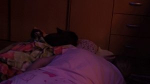 Кот Моня спит на подушке под одеялом